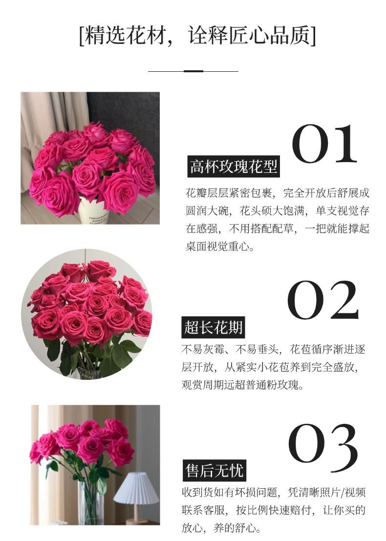 Fresh Cut Pink Floyd Rose | Hot Fuchsia Large Head Long Stem Luxury Cut Rose for Wedding Bouquet