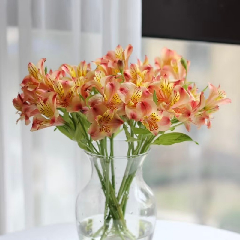 Choose three pieces, free shipping, flower bouquet, flower base straight hair, flower group buying, source of goods, flower wholesale, one piece is sent on behalf of others.