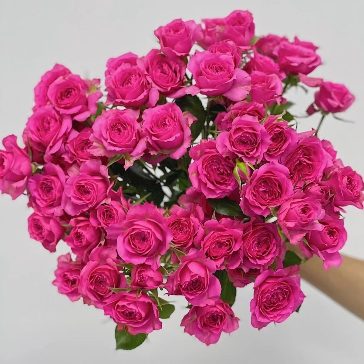 Choose three pieces, free shipping, flower bouquet, flower base straight hair, flower group buying, source of goods, flower wholesale, one piece is sent on behalf of others.