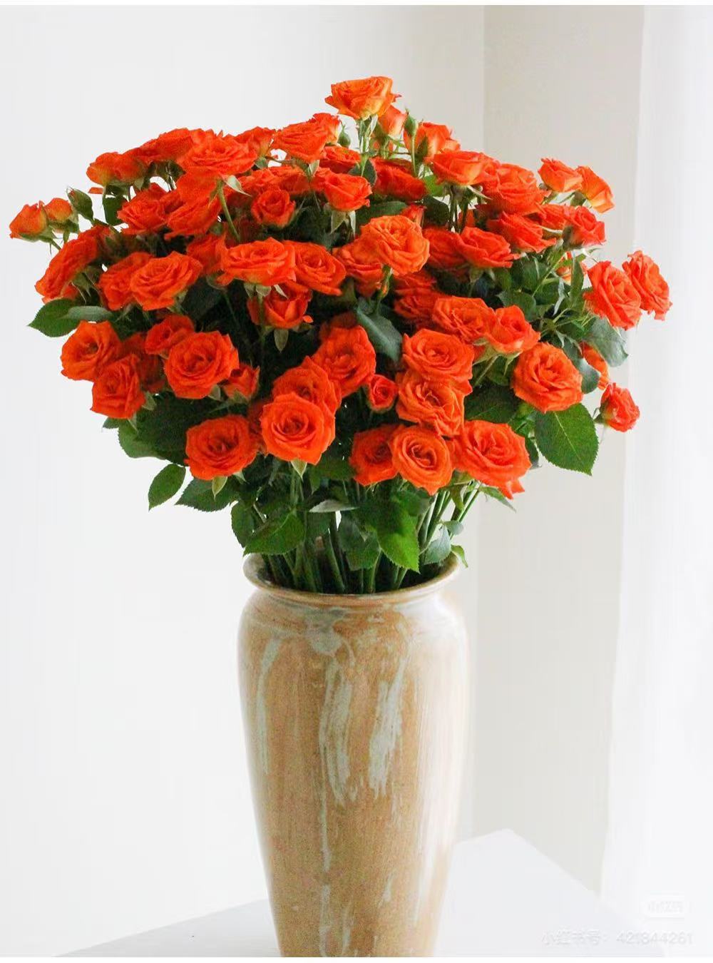 Choose three pieces, free shipping, flower bouquet, flower base straight hair, flower group buying, source of goods, flower wholesale, one piece is sent on behalf of others.