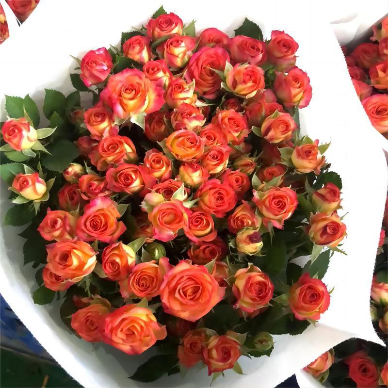 Choose three pieces, free shipping, flower bouquet, flower base straight hair, flower group buying, source of goods, flower wholesale, one piece is sent on behalf of others.