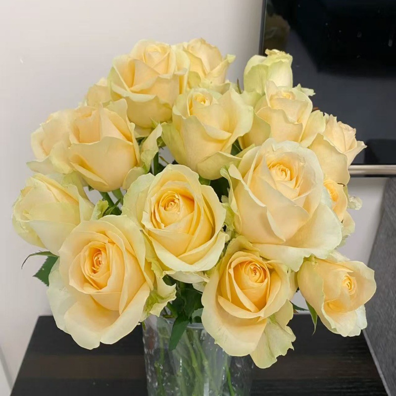 Choose three pieces, free shipping, flower bouquet, flower base straight hair, flower group buying, source of goods, flower wholesale, one piece is sent on behalf of others.