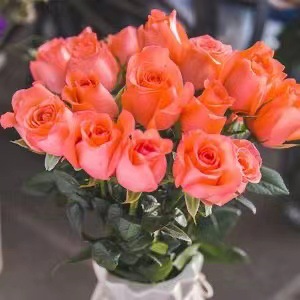 Choose three pieces, free shipping, flower bouquet, flower base straight hair, flower group buying, source of goods, flower wholesale, one piece is sent on behalf of others.