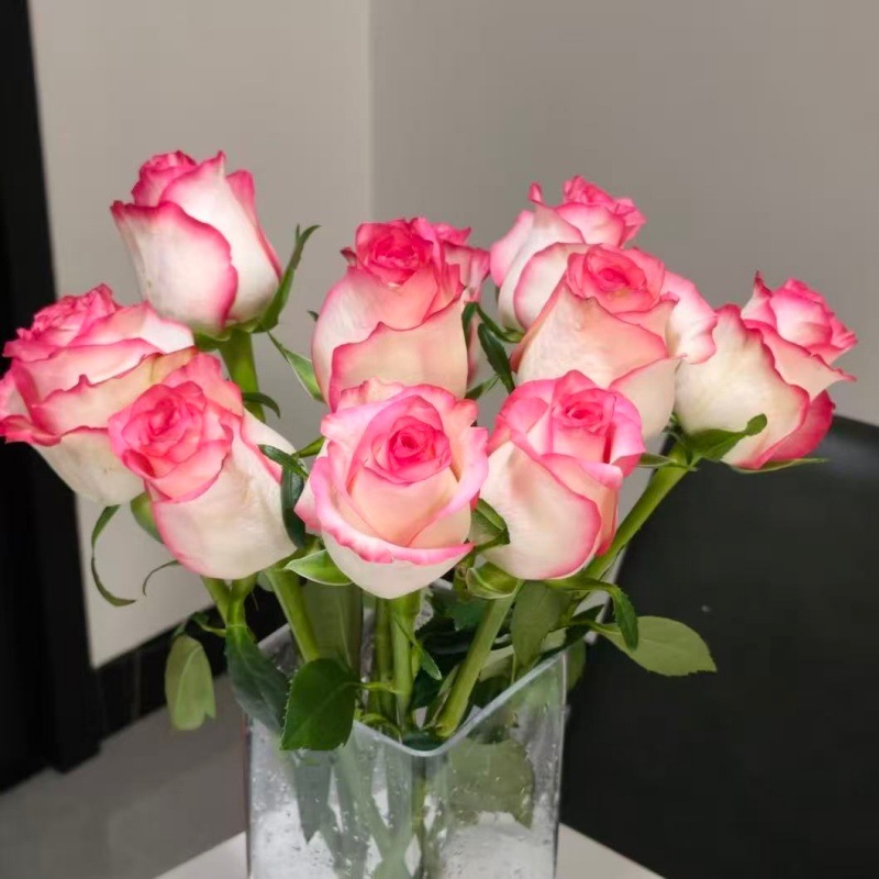 Choose three pieces, free shipping, flower bouquet, flower base straight hair, flower group buying, source of goods, flower wholesale, one piece is sent on behalf of others.