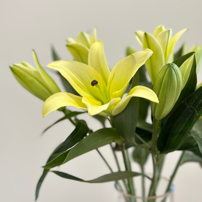 Choose three pieces, free shipping, flower bouquet, flower base straight hair, flower group buying, source of goods, flower wholesale, one piece is sent on behalf of others.
