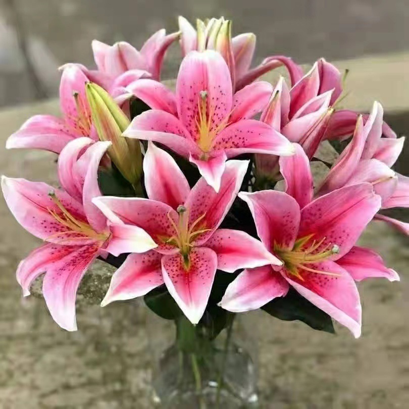 Choose three pieces, free shipping, flower bouquet, flower base straight hair, flower group buying, source of goods, flower wholesale, one piece is sent on behalf of others.