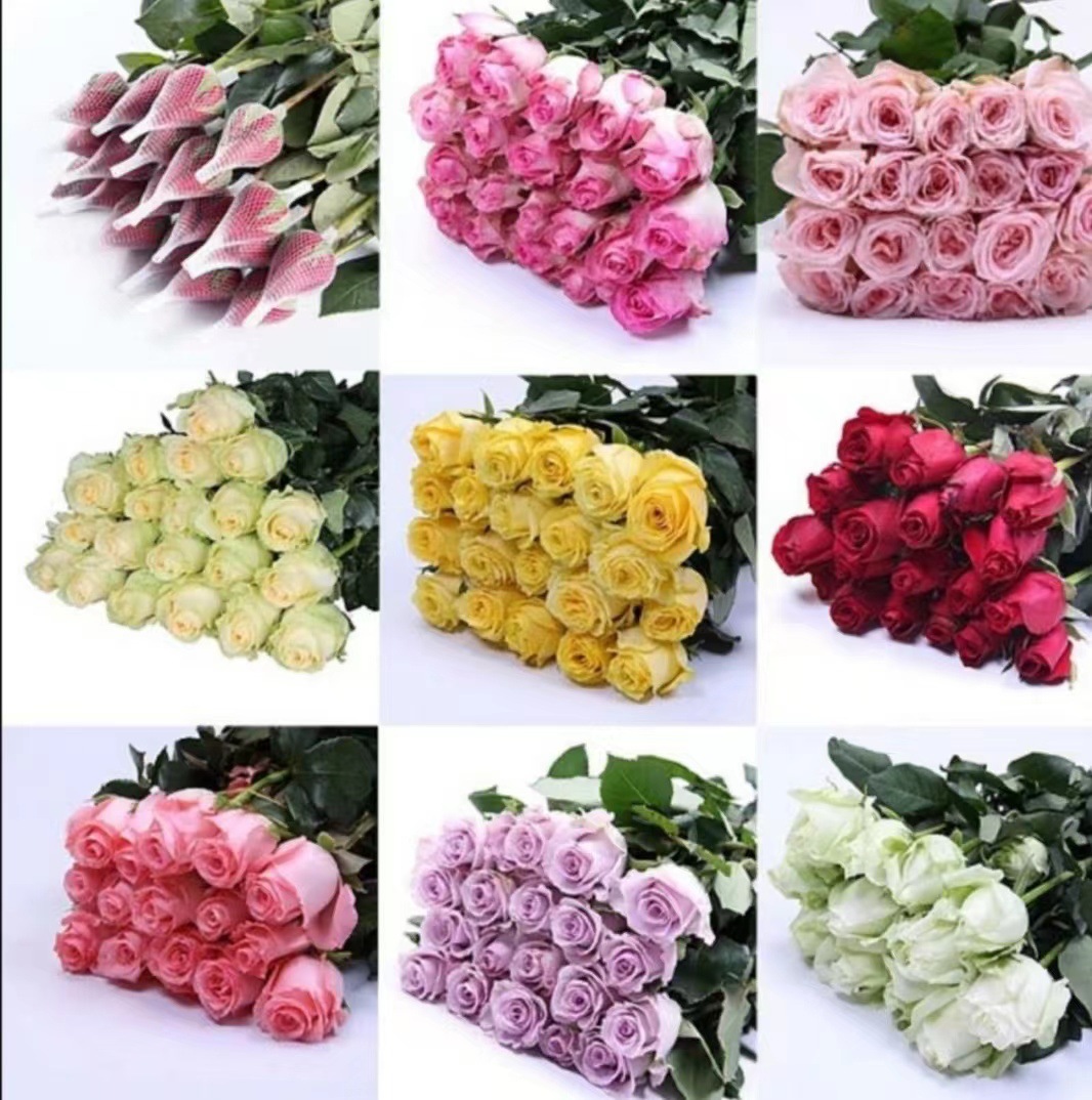 Choose three pieces, free shipping, flower bouquet, flower base straight hair, flower group buying, source of goods, flower wholesale, one piece is sent on behalf of others.