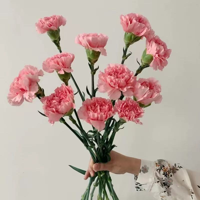 Choose three pieces, free shipping, flower bouquet, flower base straight hair, flower group buying, source of goods, flower wholesale, one piece is sent on behalf of others.