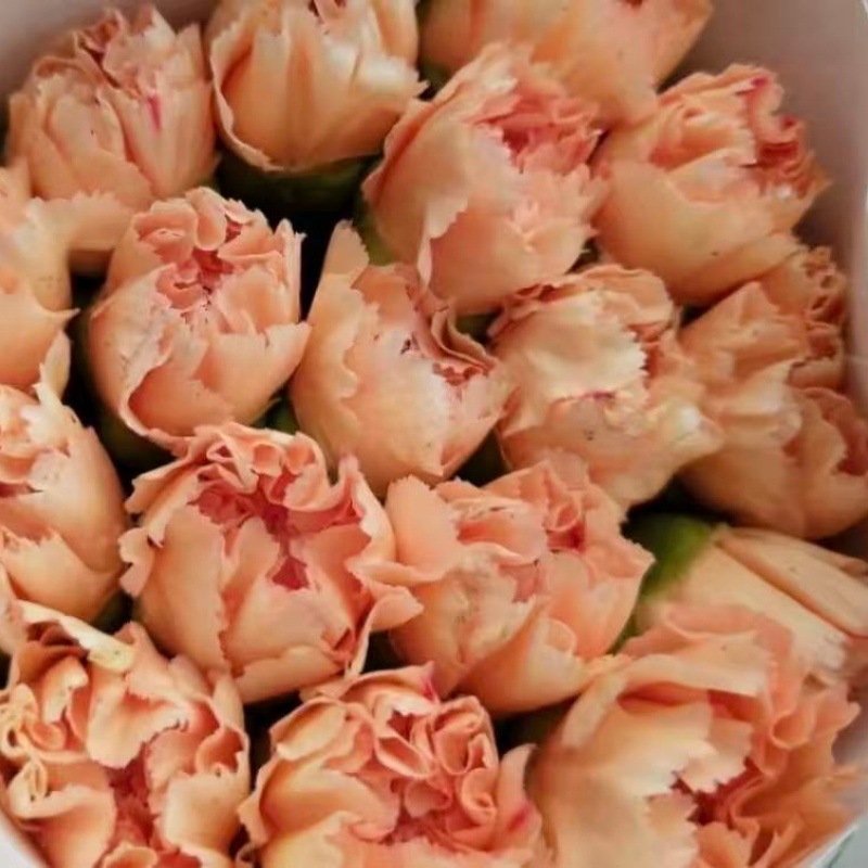 Choose three pieces, free shipping, flower bouquet, flower base straight hair, flower group buying, source of goods, flower wholesale, one piece is sent on behalf of others.