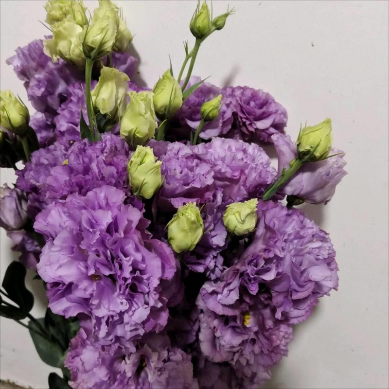 Choose three pieces, free shipping, flower bouquet, flower base straight hair, flower group buying, source of goods, flower wholesale, one piece is sent on behalf of others.