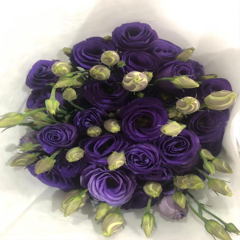 Choose three pieces, free shipping, flower bouquet, flower base straight hair, flower group buying, source of goods, flower wholesale, one piece is sent on behalf of others.