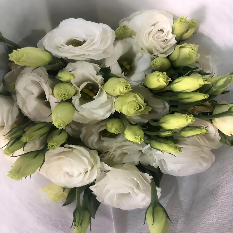 Choose three pieces, free shipping, flower bouquet, flower base straight hair, flower group buying, source of goods, flower wholesale, one piece is sent on behalf of others.