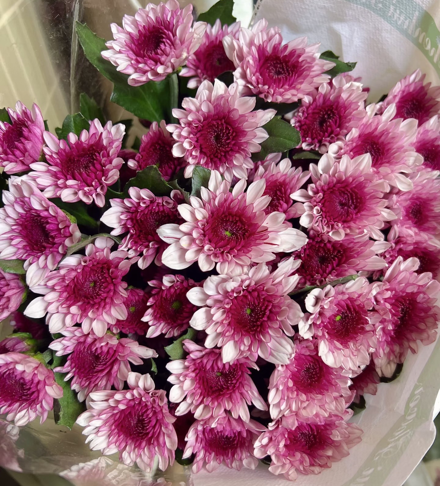 Choose three pieces, free shipping, flower bouquet, flower base straight hair, flower group buying, source of goods, flower wholesale, one piece is sent on behalf of others.