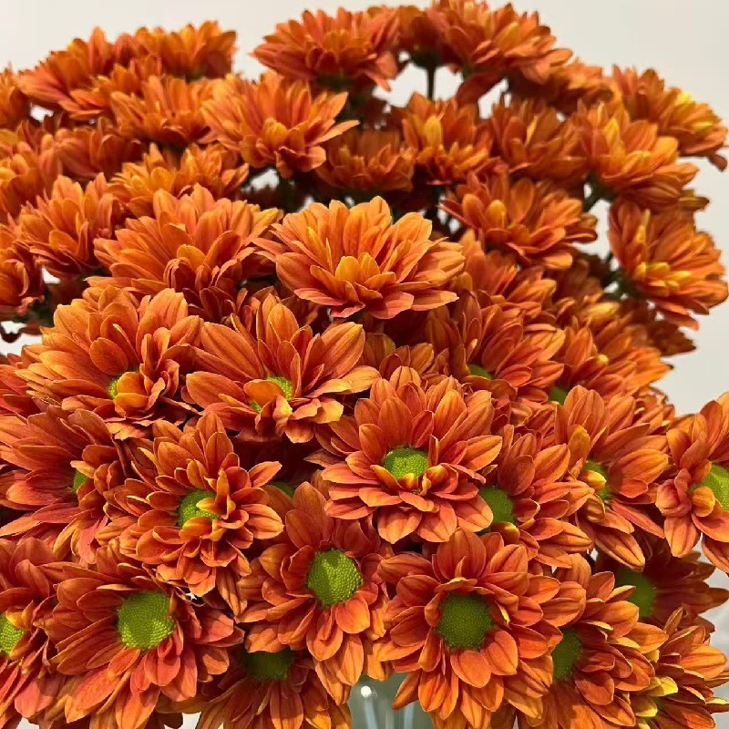 Choose three pieces, free shipping, flower bouquet, flower base straight hair, flower group buying, source of goods, flower wholesale, one piece is sent on behalf of others.