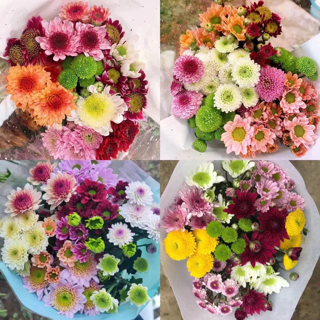 Choose three pieces, free shipping, flower bouquet, flower base straight hair, flower group buying, source of goods, flower wholesale, one piece is sent on behalf of others.