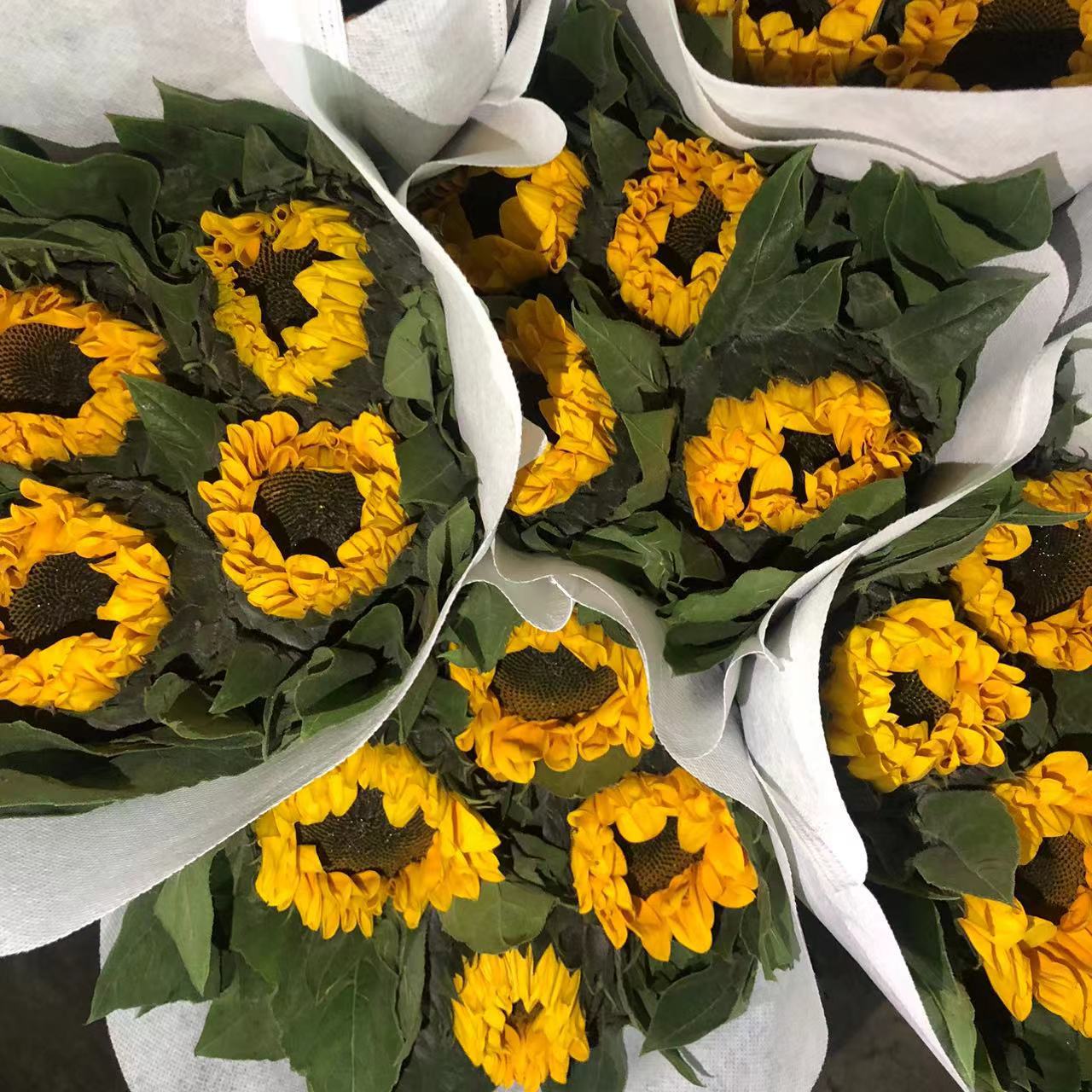 Choose three pieces, free shipping, flower bouquet, flower base straight hair, flower group buying, source of goods, flower wholesale, one piece is sent on behalf of others.