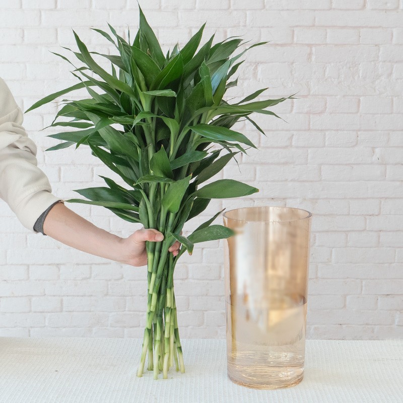 Choose three pieces, free shipping, flower bouquet, flower base straight hair, flower group buying, source of goods, flower wholesale, one piece is sent on behalf of others.