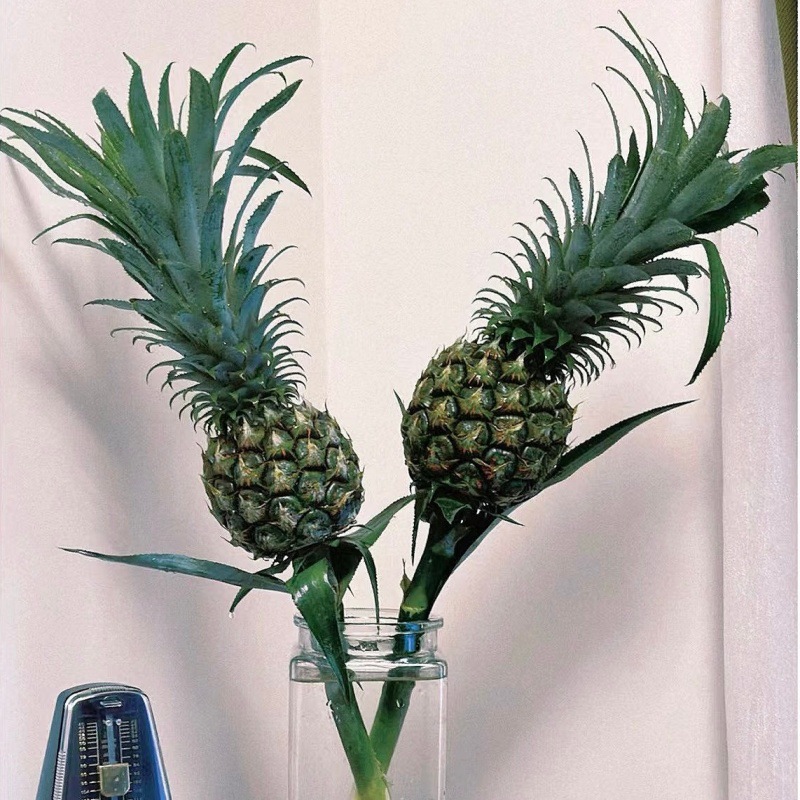 Choose three pieces, free shipping, flower bouquet, flower base straight hair, flower group buying, source of goods, flower wholesale, one piece is sent on behalf of others.