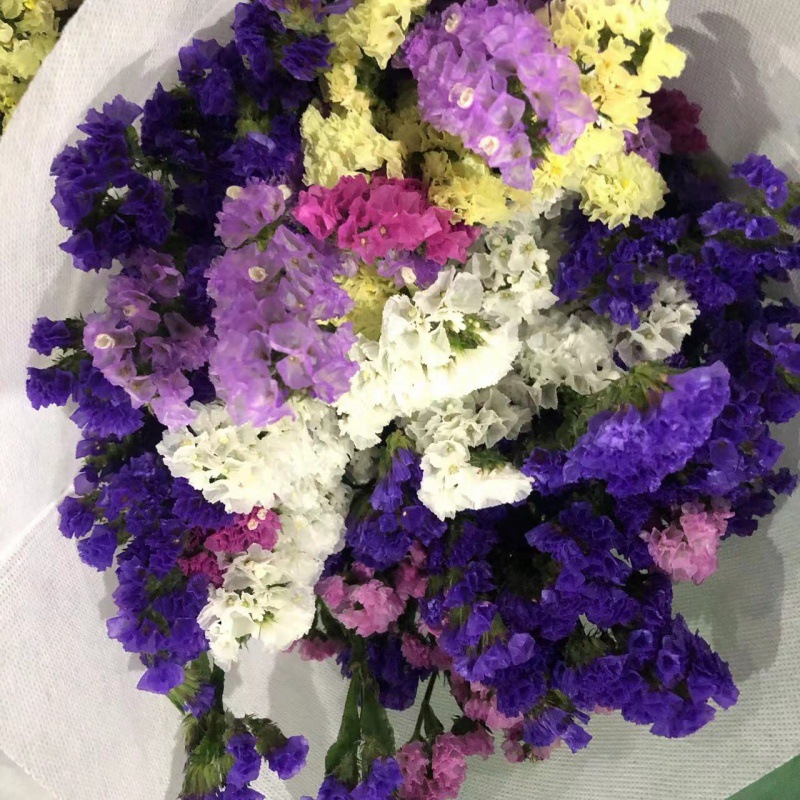 Choose three pieces, free shipping, flower bouquet, flower base straight hair, flower group buying, source of goods, flower wholesale, one piece is sent on behalf of others.