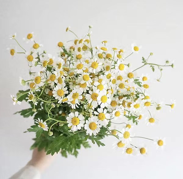 Choose three pieces, free shipping, flower bouquet, flower base straight hair, flower group buying, source of goods, flower wholesale, one piece is sent on behalf of others.