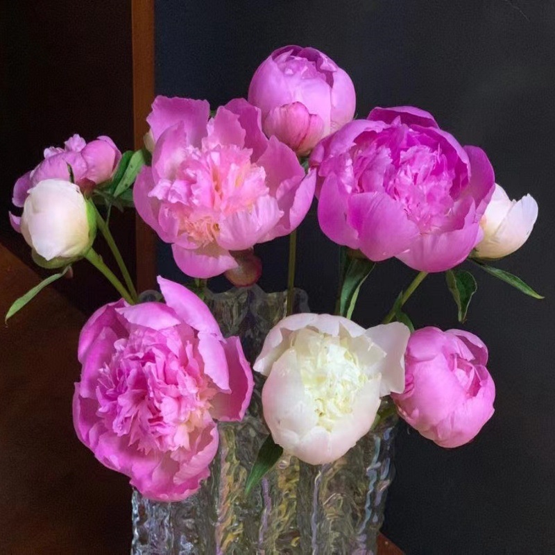Choose three pieces, free shipping, flower bouquet, flower base straight hair, flower group buying, source of goods, flower wholesale, one piece is sent on behalf of others.