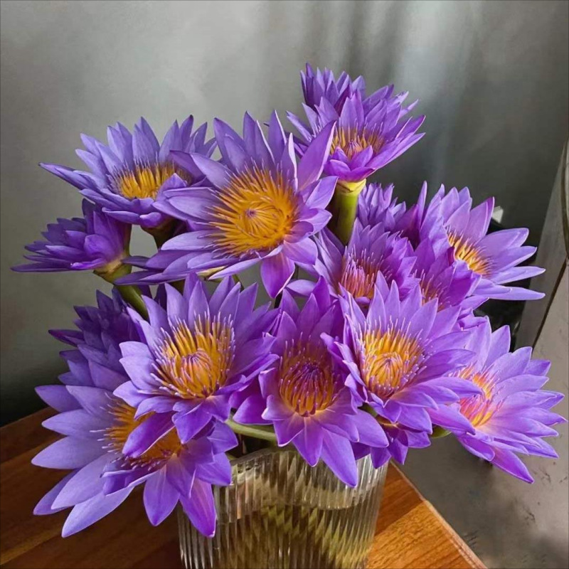 Choose three pieces, free shipping, flower bouquet, flower base straight hair, flower group buying, source of goods, flower wholesale, one piece is sent on behalf of others.