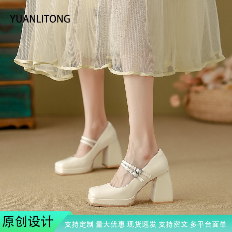 Women's Chunky Heel Mary Jane Shoes, Square Toe Low Top Slip-On Pumps for Commuting