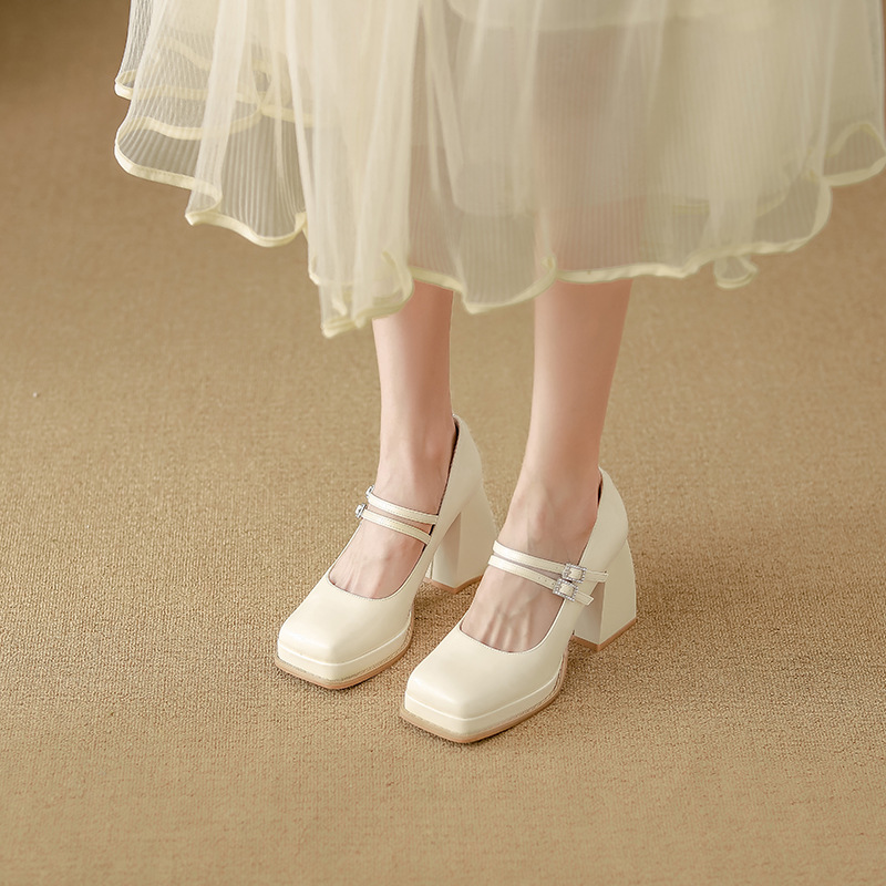 Women's Chunky Heel Mary Jane Shoes, Square Toe Low Top Slip-On Pumps for Commuting