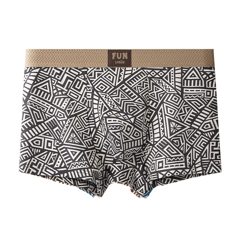 Men's Cotton Boxer Briefs Vintage Ethnic Print Breathable Lightweight Soft Stretch Underwear