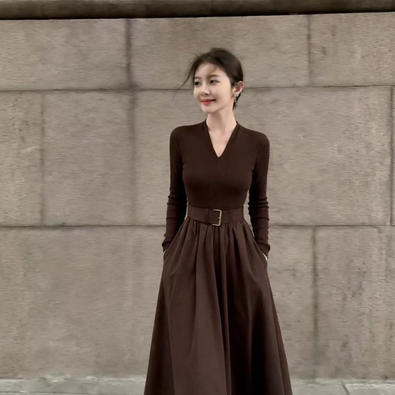 Women’s Long Sleeve A-Line Dress, High Neck, High Waist, Fitted Fall/Autumn Dress