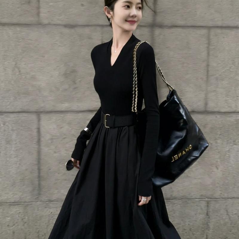 Women’s Long Sleeve A-Line Dress, High Neck, High Waist, Fitted Fall/Autumn Dress