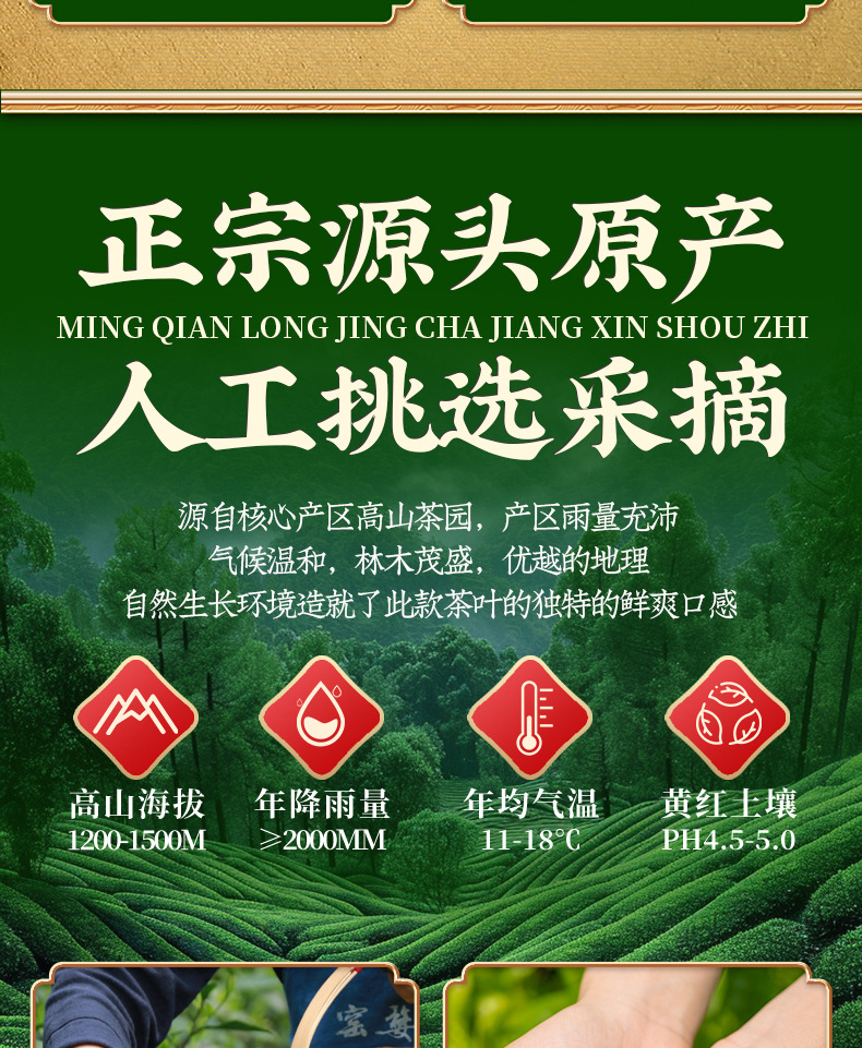 Longjing Green Tea, 250g Bucket Pack, Spring First Flush, Bean Aroma, Loose Leaf Tea for Daily Drinking or Gifting