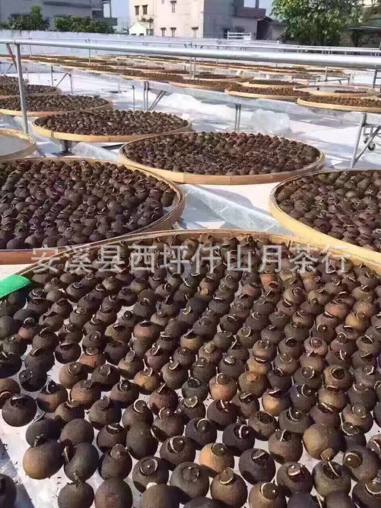 Xiao Qing Gan Mandarin Pu-erh Tea, 500g Loose Leaf Stuffed Citrus Tea from China
